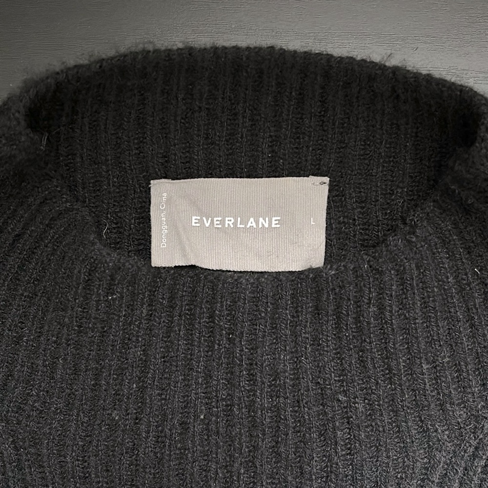 Everlane Cashmere Tunic
